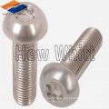 GR5 titanium dome head bolt